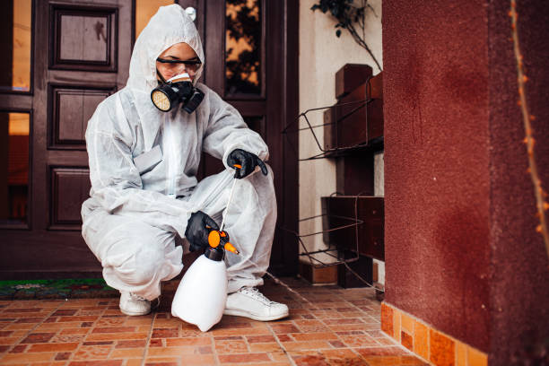 Attic and Crawl Space Rodent Treatment in Imperial